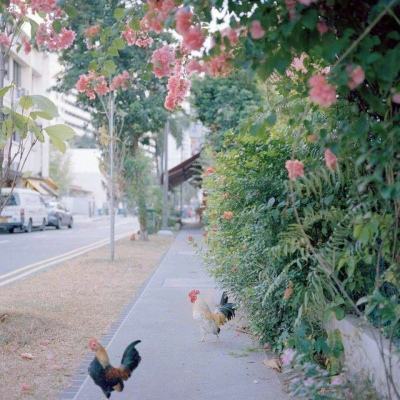 江南官方网站下载