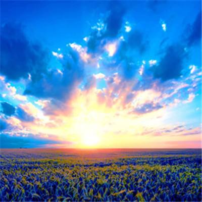 宝威体育官网app下载