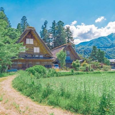 ag真人国际官网下载手机版