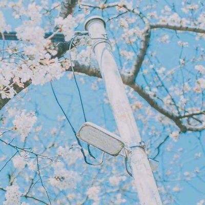 万博体育苹果下载截图