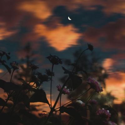 正规的大小单双平台网址