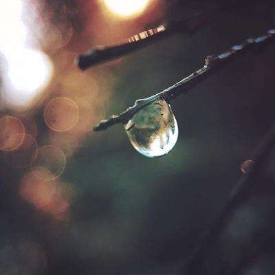 星空体育app下载手机版