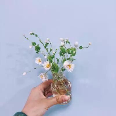 AG九游会手机app下载