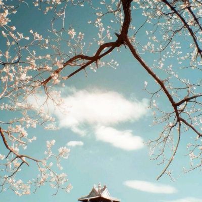 必博手机网页版app下载